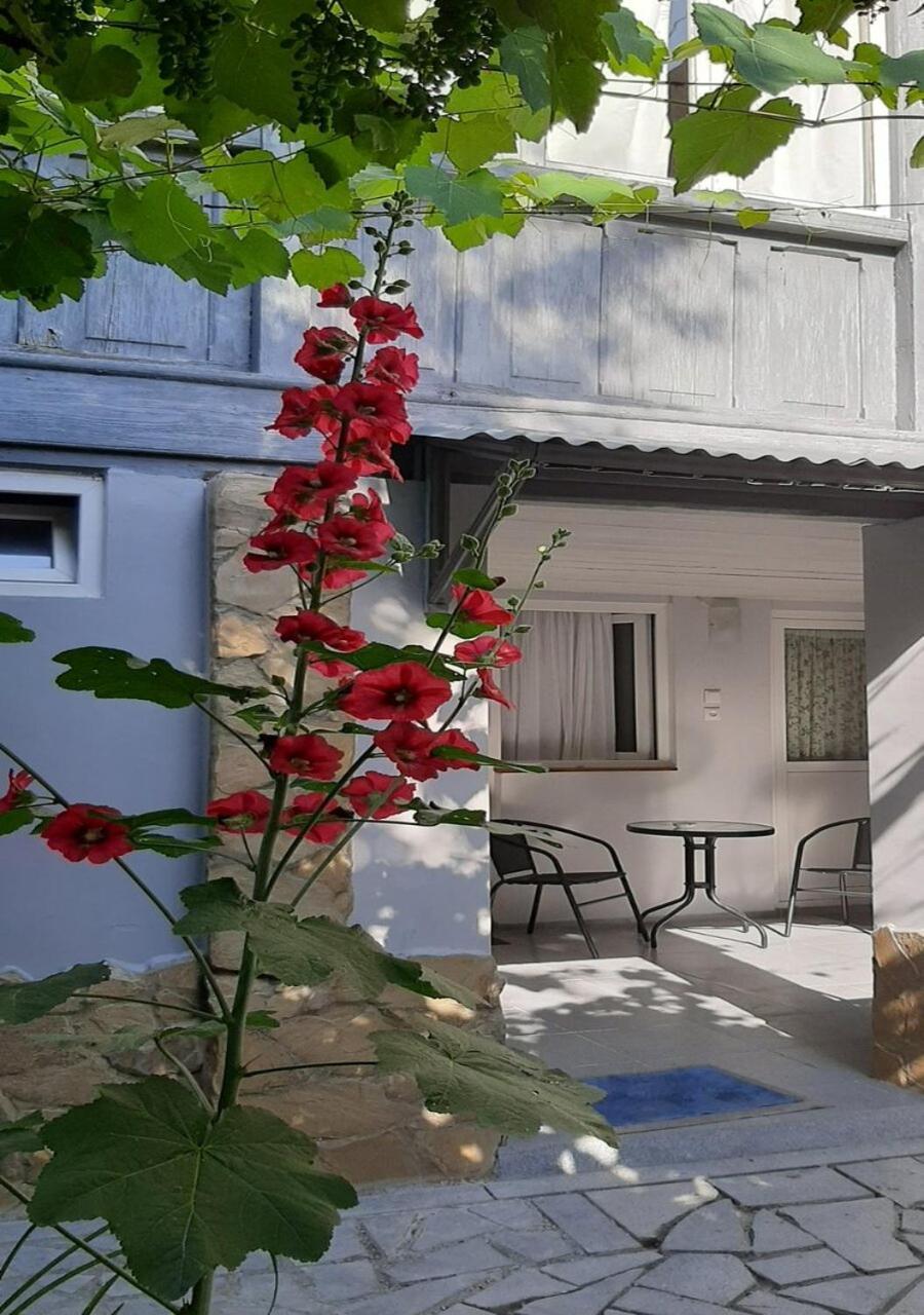 Beso-House Daire Borjomi Dış mekan fotoğraf